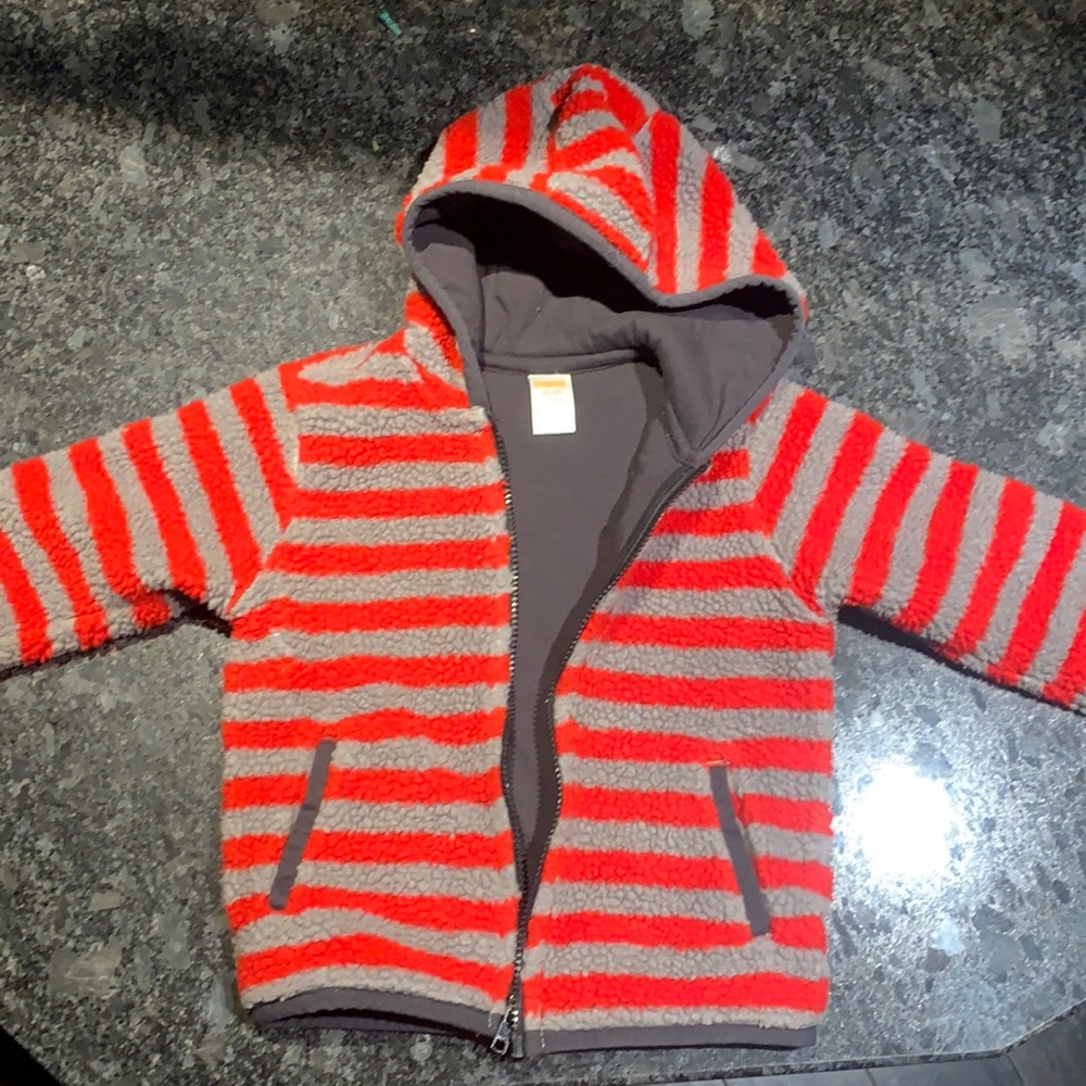 Boys Hooded Gymboree ZipUp Fleece